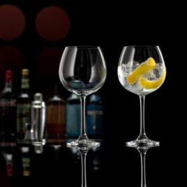 BARGIN680ML 2 Gin Glasses
