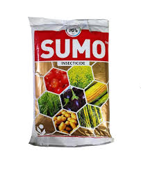 SOMO 5KG
