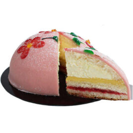 CAKE SL MISS/MUD[24x90g]BREN