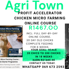 Profit Accelerator Micro Chicken Farming Course