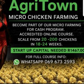 Micro Chicken Farm Online Course + Profit Accelerator Program